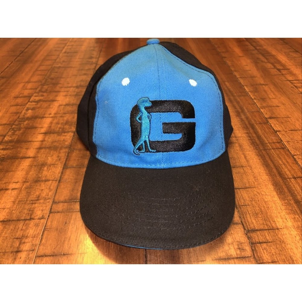GEICO Insurance Hat One Size Hook & Loop Fastener Strapback Baseball Dad Cap